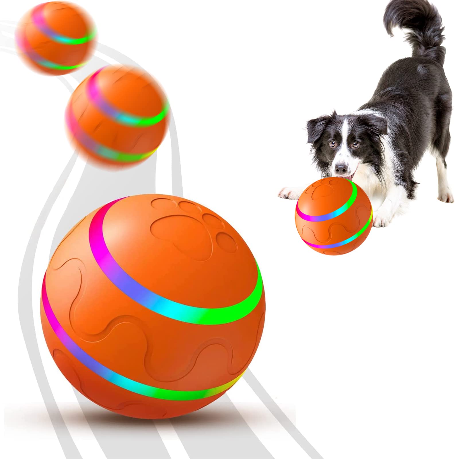 What Does It Mean If Your Dog Has One Ball