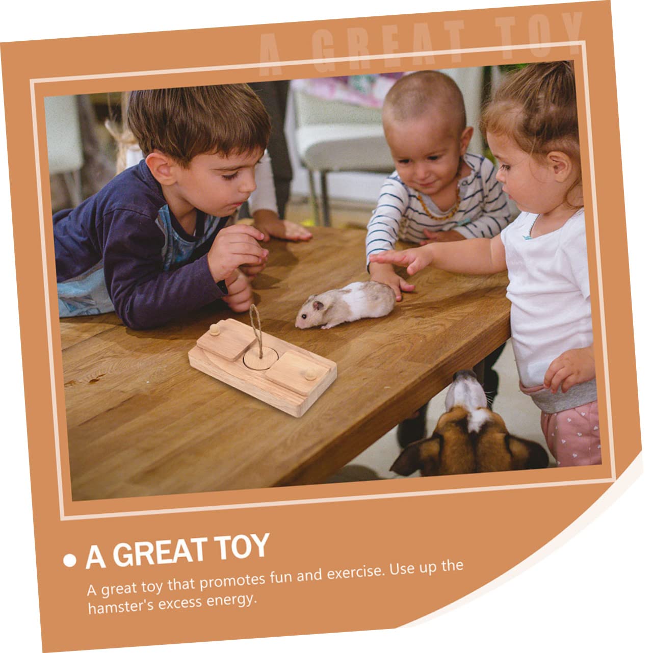Mipcase 2pièces Jouet Bois pour Hamster Boîte à Friandises Décoration pour Cage Jouet De Recherche De Nourriture Cachette pour Nourriture