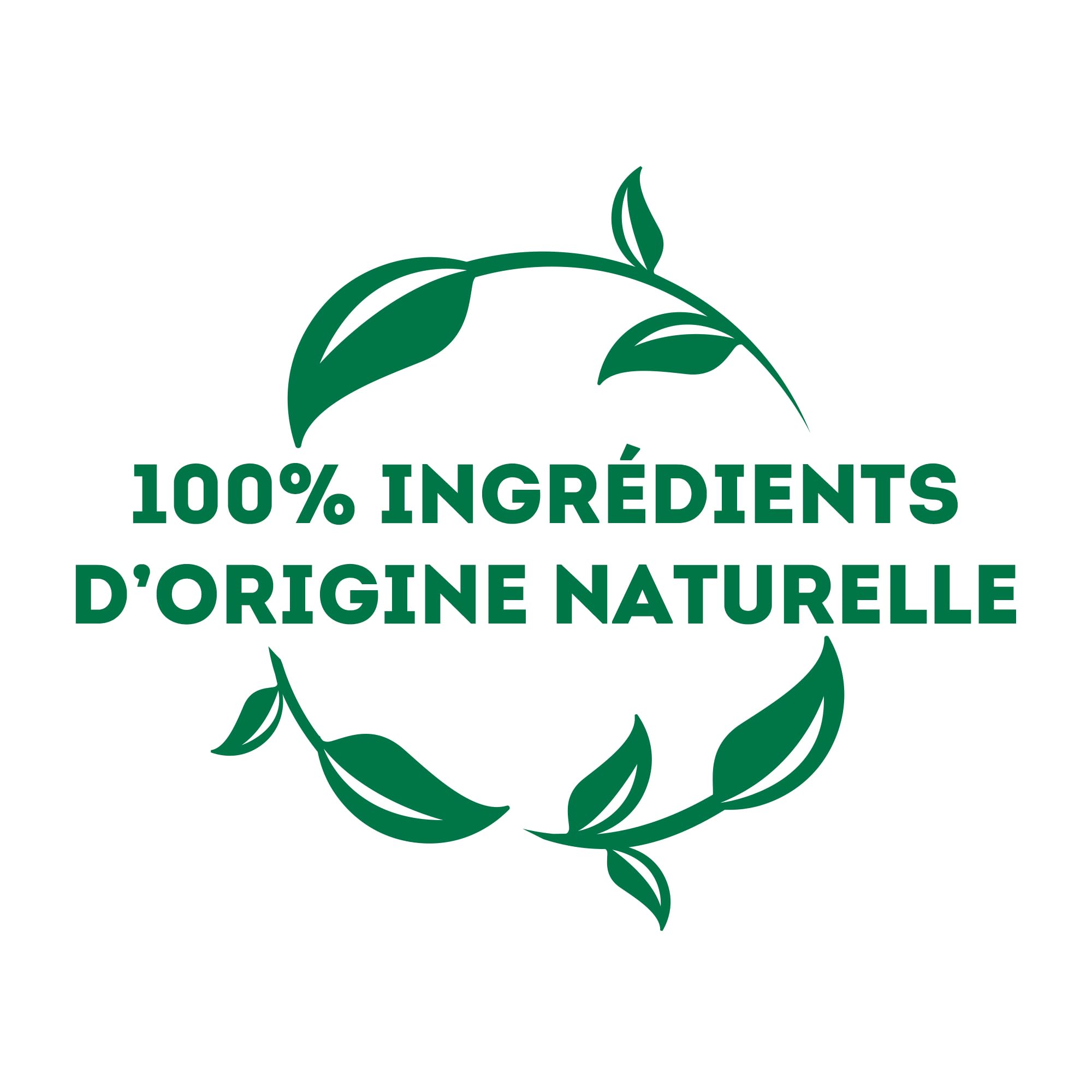 Lipton, Thé Noir, Goût Fruits Rouges, Capsules Compatibles Nespresso, Vitalité, Ingrédients d'Origine 100% Naturelle, 10 Capsules (Lot de 10)