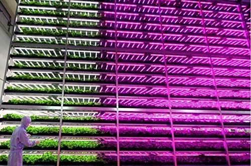 Amazon.co.jp: LED植物育成ライトT5 90cm（1.5m AC電源コード付き
