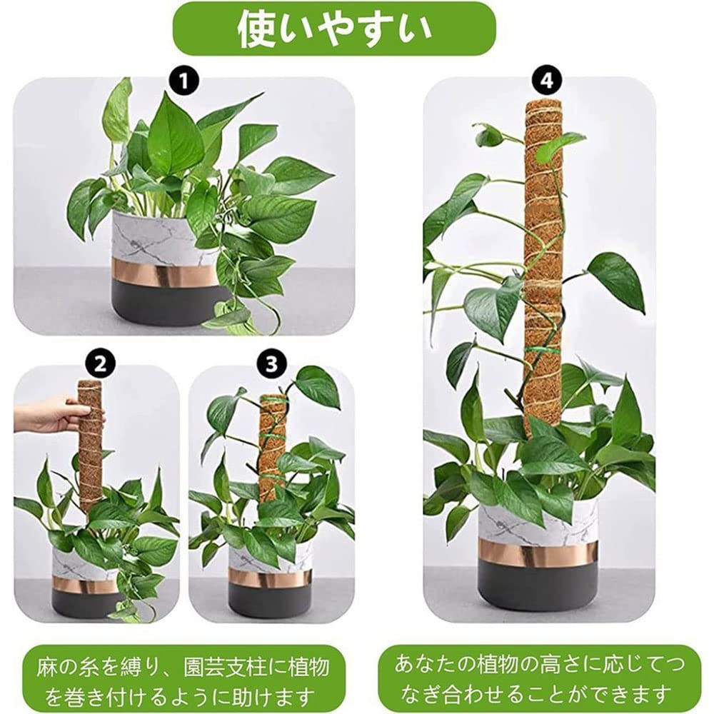 Amazon | 園芸支柱 つる性植物 ココナッツパームスティック 観葉植物