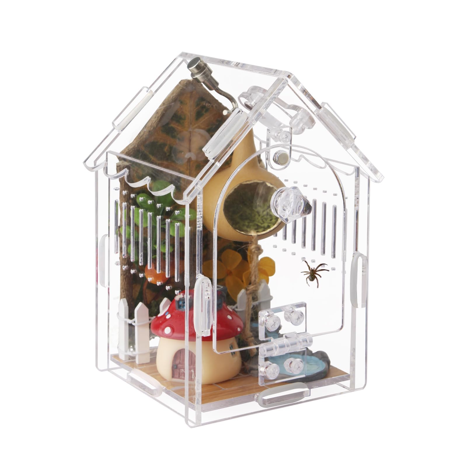 Acrylic Jumping Spider Enclosure with Magnetic Latch