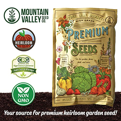 Forage Crop Seed Blends For Cattle Feed Temperate Climates