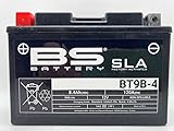 BS Battery