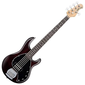 Amazon | Sterling By Musicman SUB STINGRAY RAY5 WALNUT SATIN