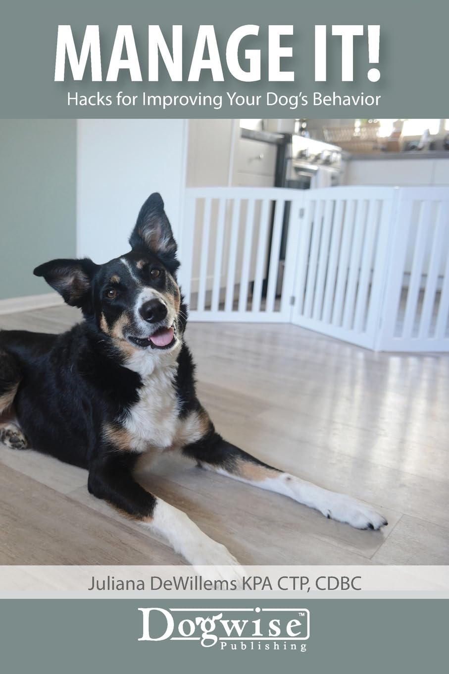 Manage It!: Hacks for Improving Your Dog’s Behavior