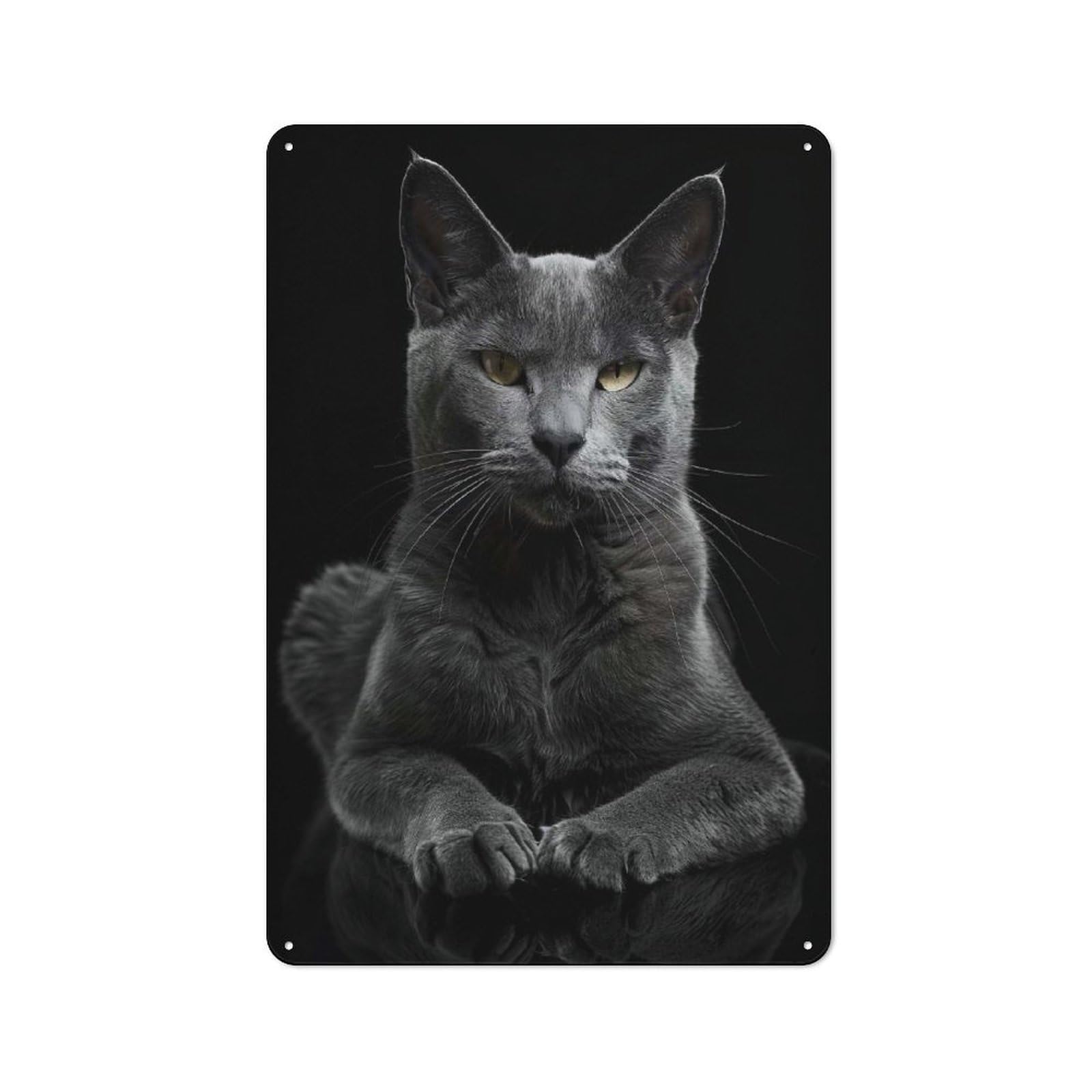 Urban Decorative Metal Plaque 30x20cm Featuring Korat, Loft Wall Plaque for Loft, Studio, Office Or Creative Room