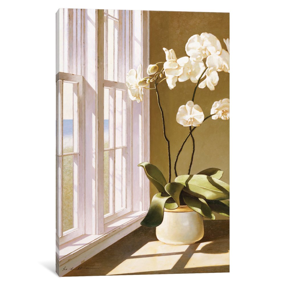 Orchid Canvas Wall Art Decor For You