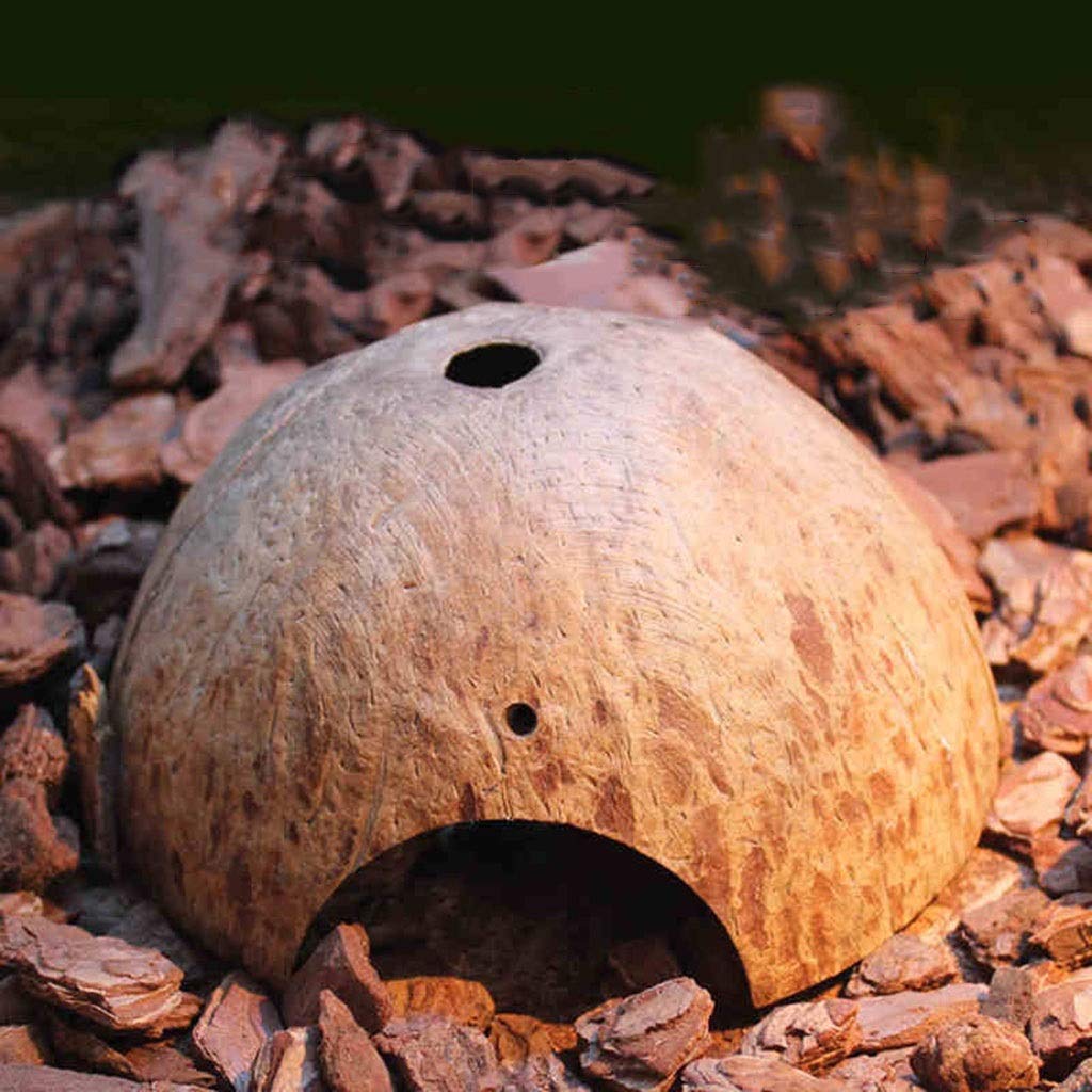Escondite de Reptiles, cáscara de Coco, Caja de Cueva de Reptiles, decoración de hábitat, escondites de arañas, Peces, lagartos, Serpientes, Accesorios para Cajas de Reptiles, Adornos