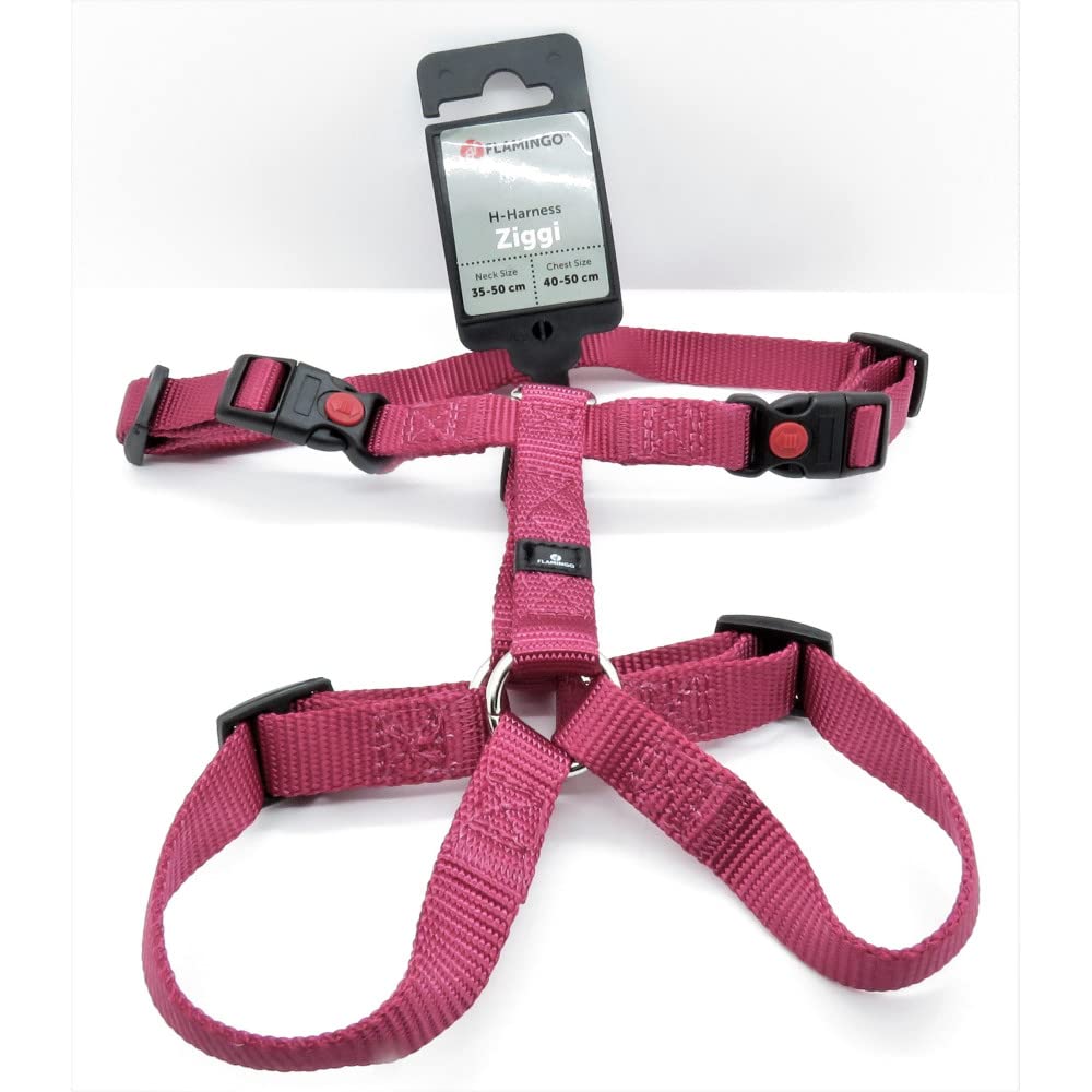 Flamingo Dog Harness H-shape Ziggi Cherry red S 35-50cm 40-50cm 15mm, xs - Image 4