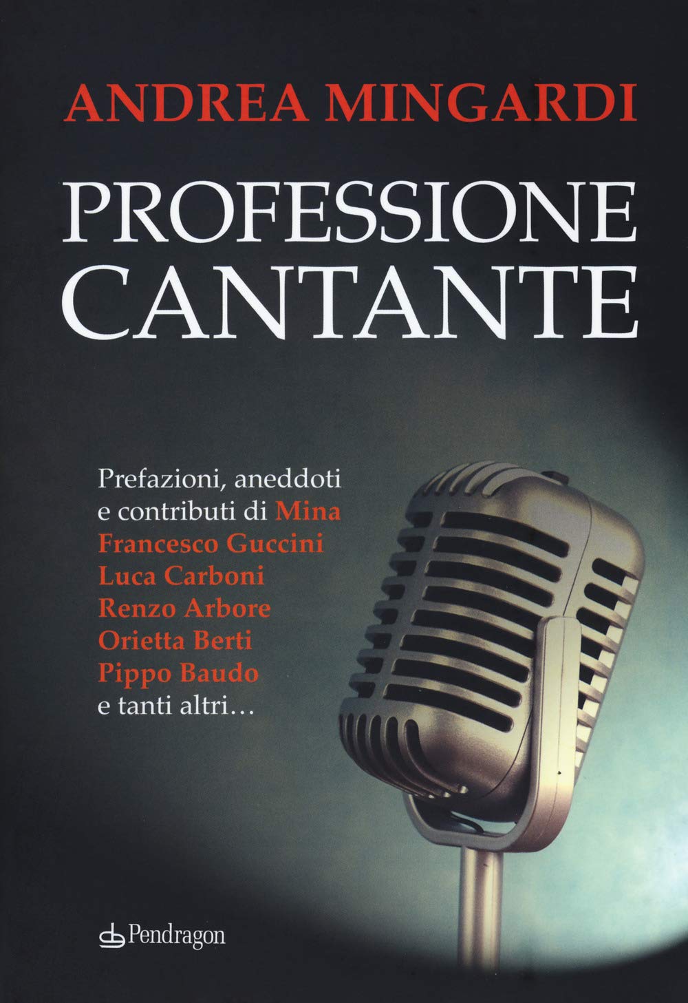 Professione Cantante - 4