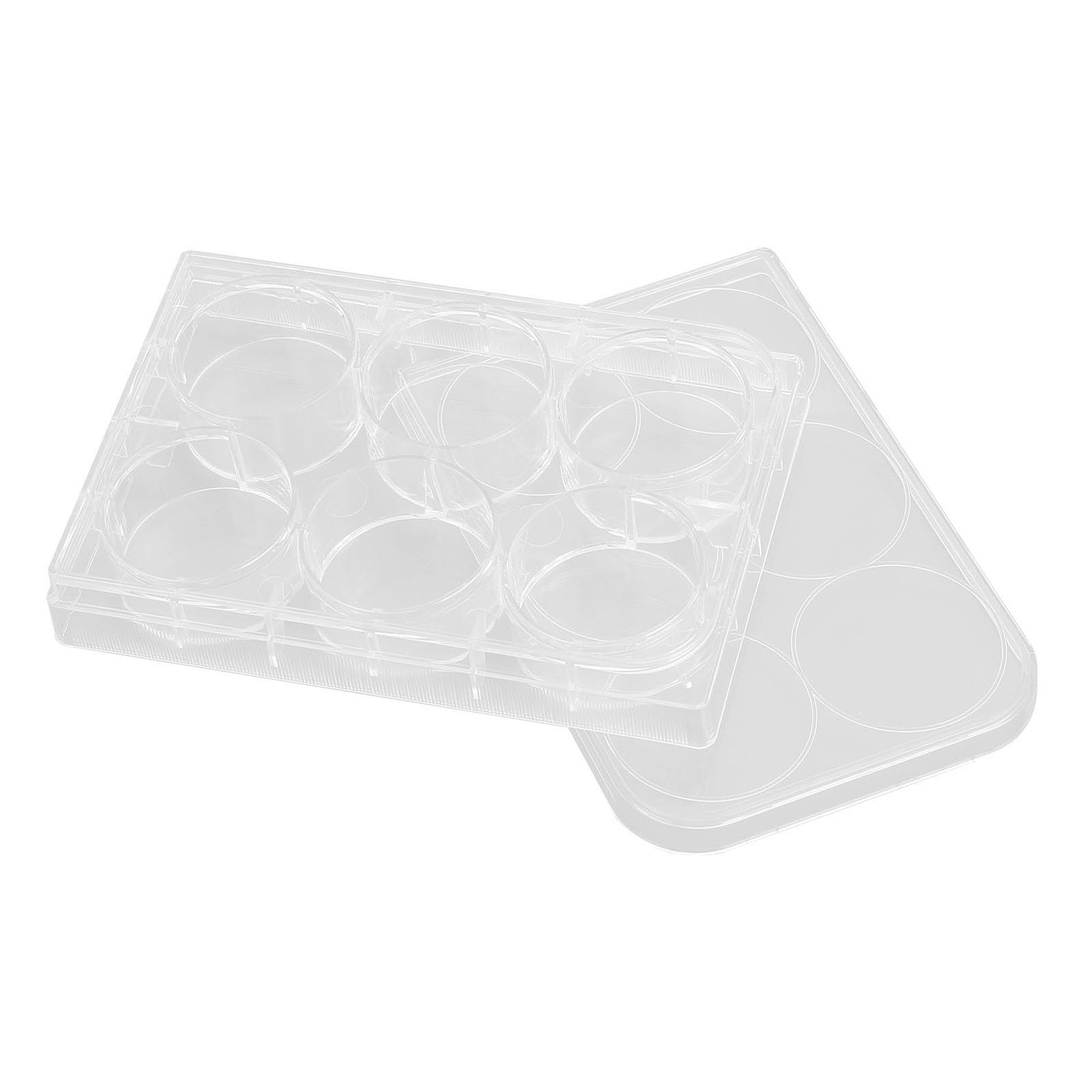 Yctze 10pcs Plaques de Culture Tissulaire Hautement Transparentes avec Fond Plat et Couvercle pour Une Utilisation - Orm épais pour la Cellule Due et Expérimentale (6 Trous)