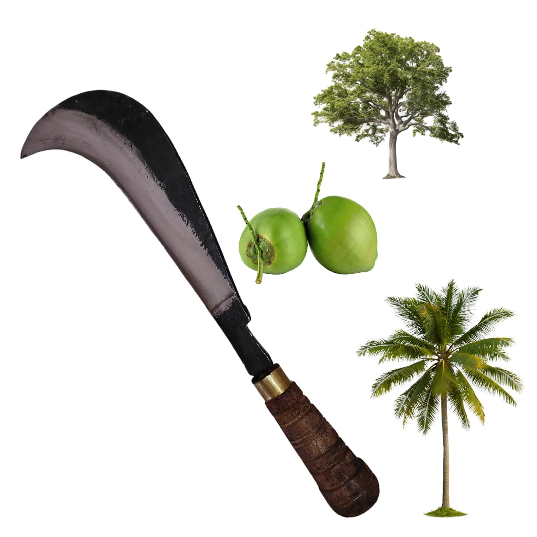 DreamBoat Iron 1Pcs Handmade Aruval(10Inch) with Wooden Handle/Gardening Aruva/Multipurpose MiddleSize Vettukathi/Coconut Cutting Different Type Tree Cutting Aruva/Agriculture Aruval for HomeUse... (B0DBFY8YKY) Amazon Price History, Amazon Price Tracker