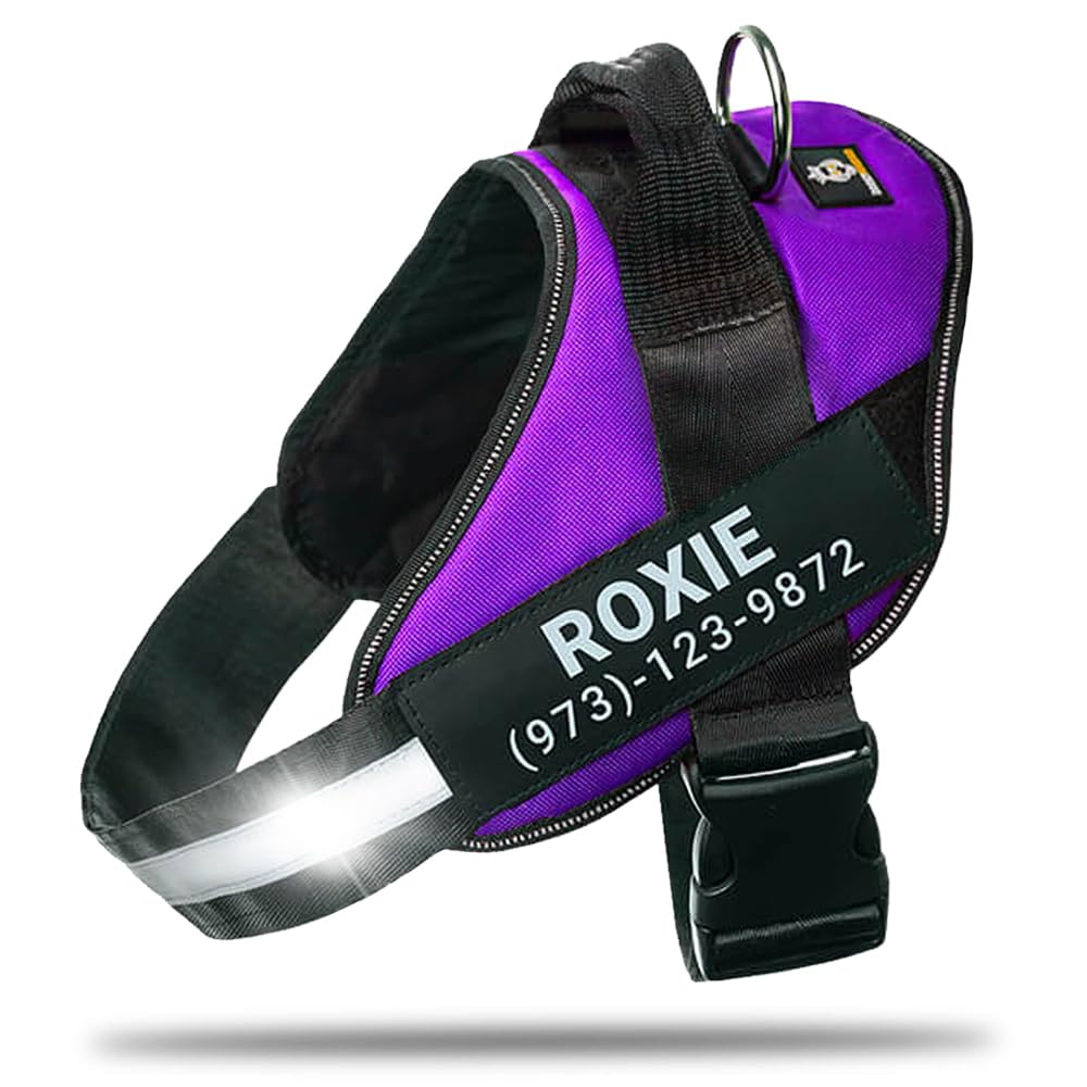 DOGGYKINGDOM Personalized No-Pull Dog Harness with Name Patch, Adjustable, Reflective, Padded, Heavy Duty Pet Vest to Prevent Tugging, Pulling, or