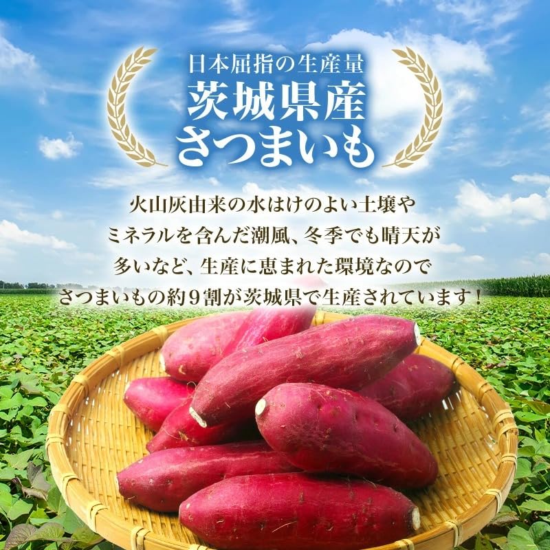 Amazon | 茨城県産 干し芋 紅はるか オオスガファーム 2026全国ほしい