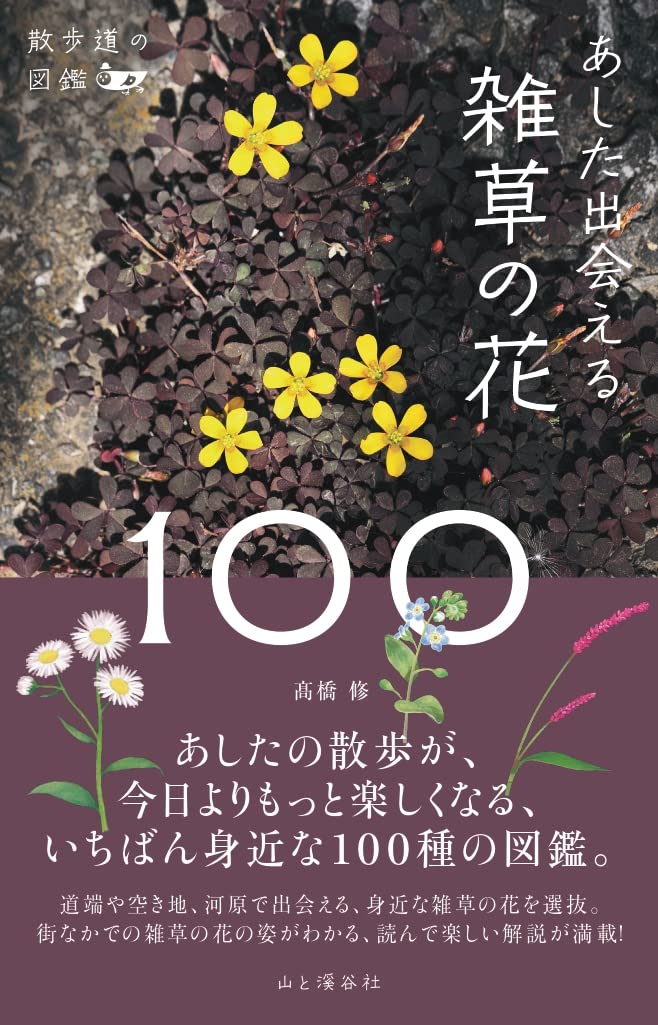 散歩道の図鑑 あした出会える雑草の花100 髙橋 修 配送料無料