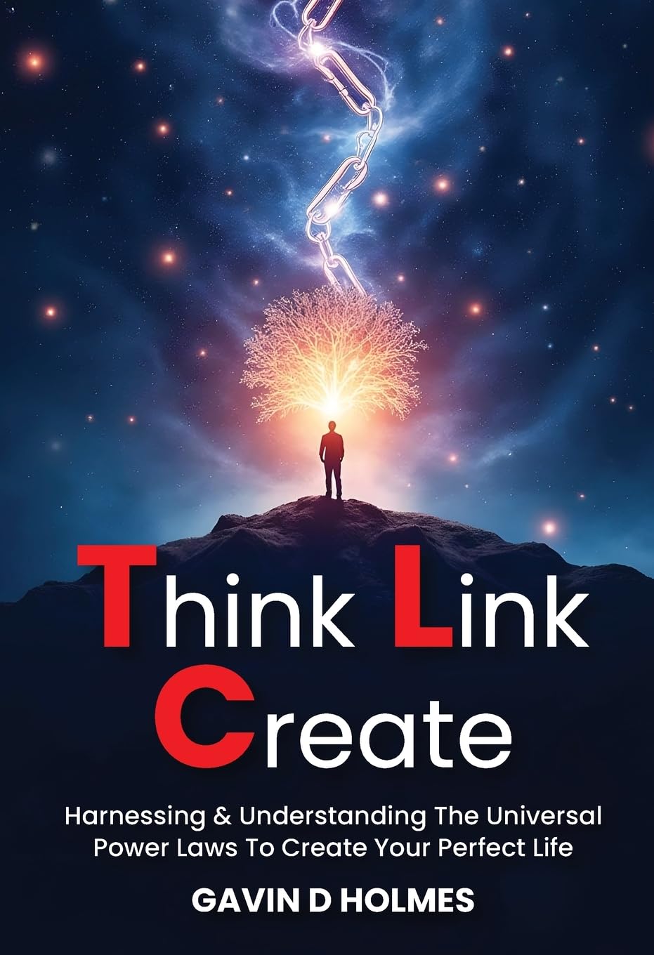 Think Link Create: Harnessing & Understanding The Universal Power Laws To Create Your Perfect Life