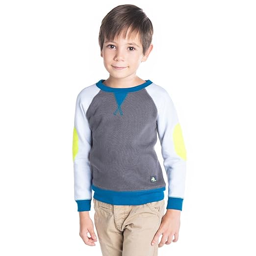 Kids Boys Waist Length Regular Pullover Sweatshirt