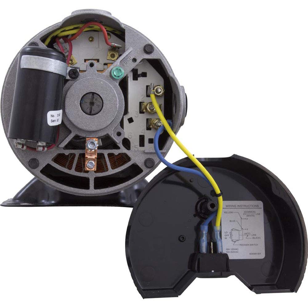 Amazon.com : Hayward SPX1515Z2ES Two Speed Motor with Switch