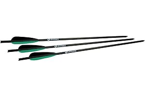 Precision Hunting Arrows for Maximum Accuracy and Penetration