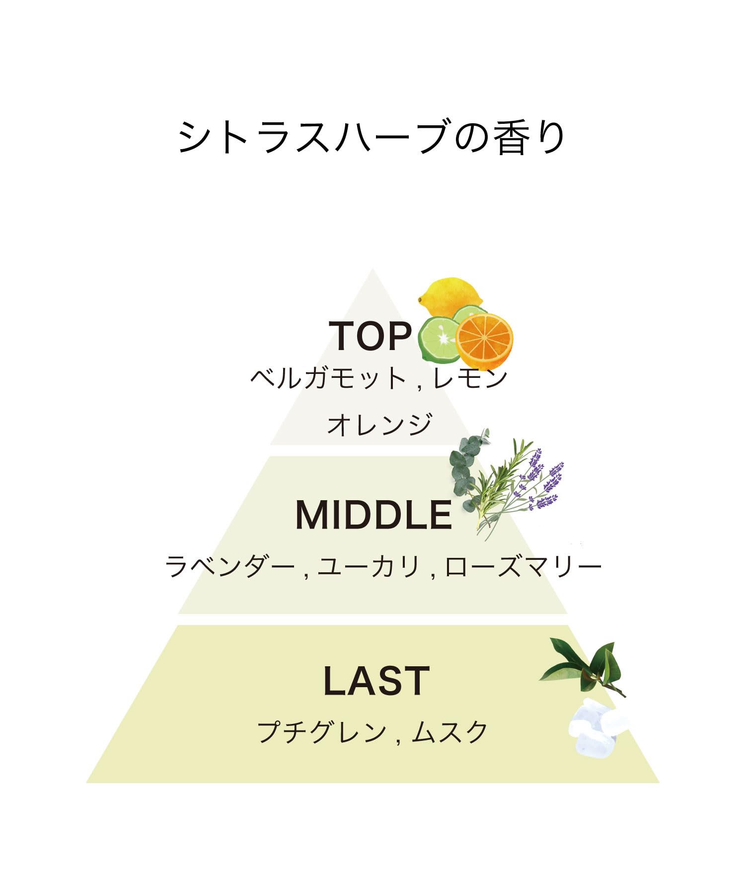 Amazon.co.jp: 【公式】track トラック クリーム No.2 ナンバーツー