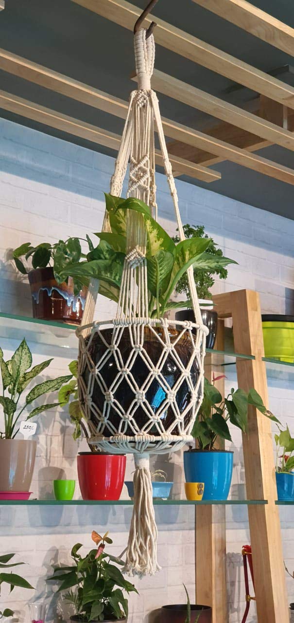 ecofynd Macrame Plant Hanger, Rope Flower Pot Holder for Indoor Outdoor Home Decor Garden Living Room, Handmade Wall Hook Hanger, 100% Organic (MPH105) (M18-1 Pack) (B0825CC3YT) Amazon Price History, Amazon Price Tracker
