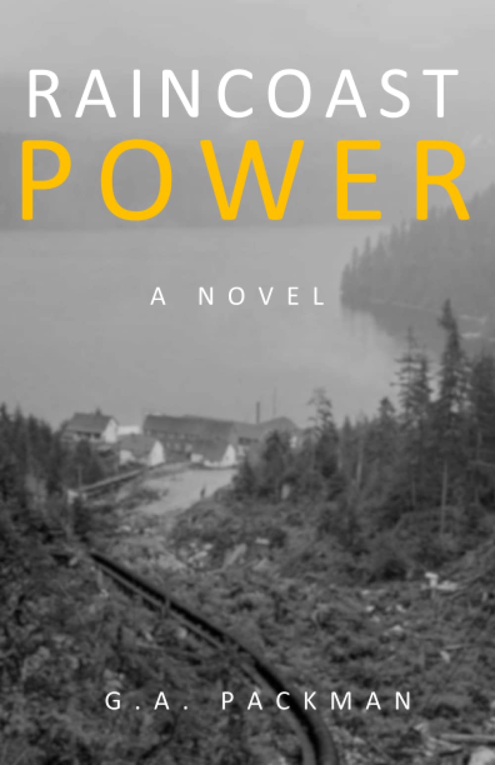 Raincoast Power: A Novel