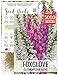 Seed Needs, Gloxiniaeflora Foxglove (Digitalis purpurea) 5,000 Seeds