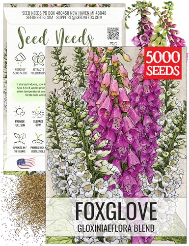 Seed Needs Foxglove Seeds for Planting Gloxiniaeflora Blend 1 Pack
