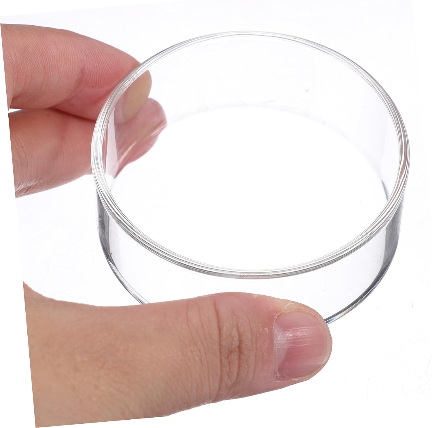 COLLBATH 1set Shrimp Feeder Tray for Aquariums Fish Accessory Easy to Clean Tool for Shrimp and Fish