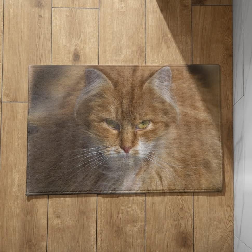 Tapis de sol cuisine lavable 50x80cm antidérapant en coton léger