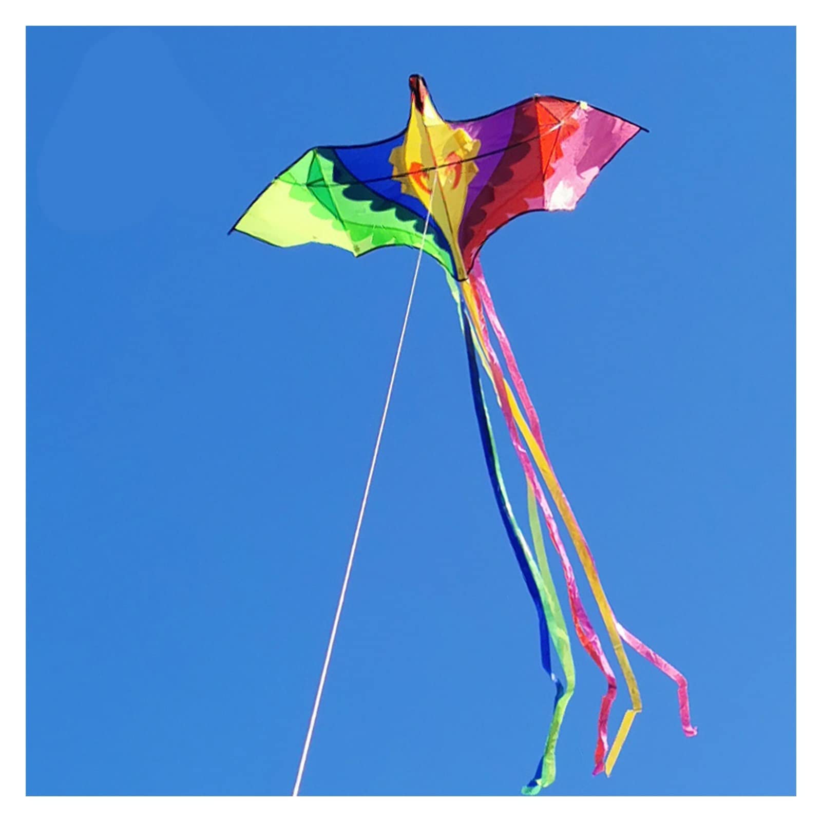 Cometa para niños, cometa colorida de Phoenix, cometa grande para niños, cometa para adultos, fácil de volar, cometa de cola larga, cometa colorida