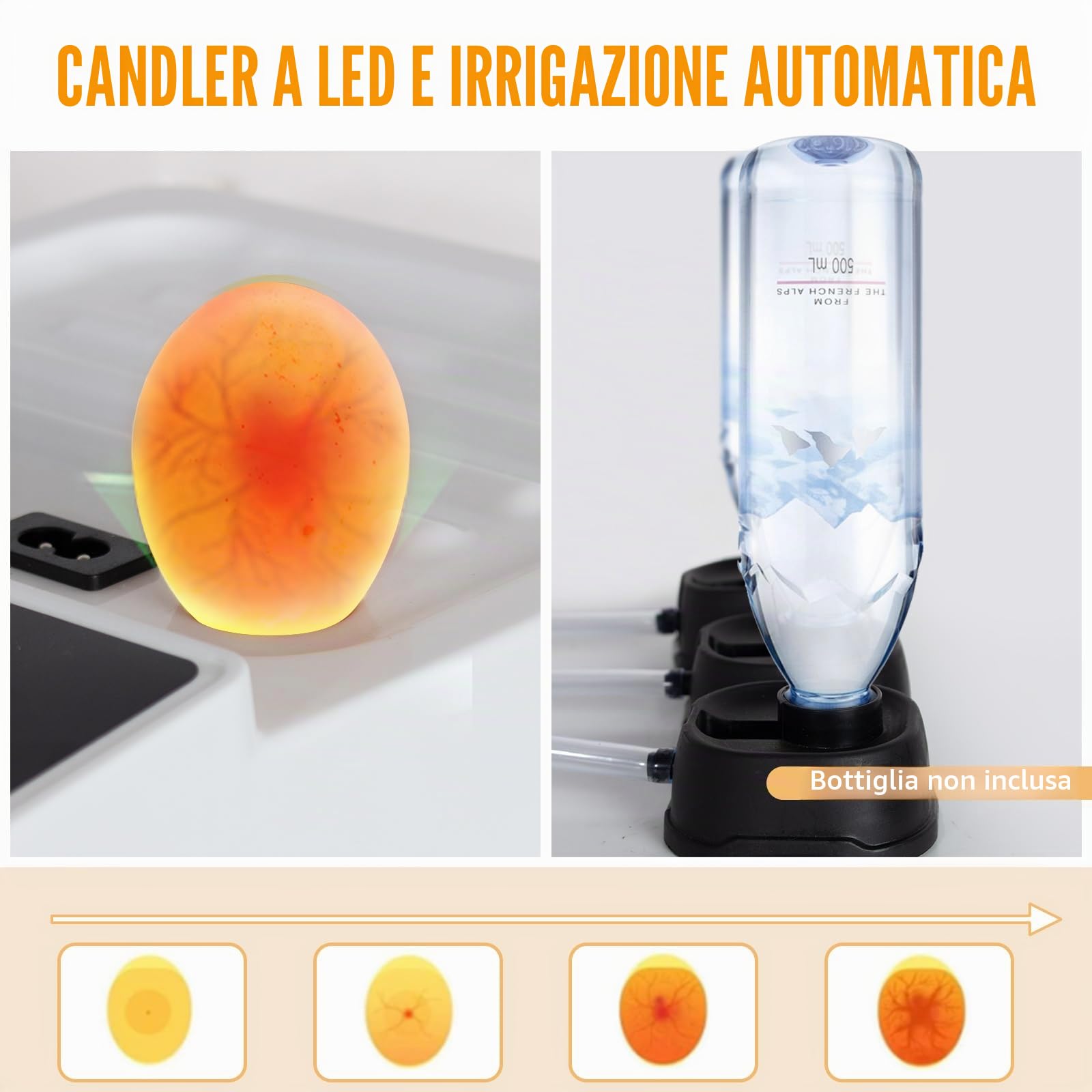 Todeco Incubatrice Automatica 48 Uova, Controllo Temperatura | Rotazione automatica delle uova, aggiunta automatica dell'acqua, portauova regolabile, con ovoscopio LED,doppia alimentazione