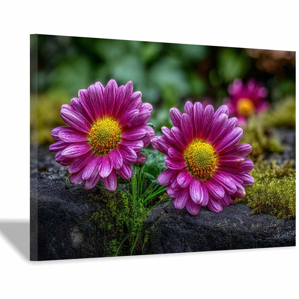 ZAMAEIU Forest Landscape Painting Double Chrysanthemums Canvas Artwork posters & prints Suitable for Living Room Bathroom Bedroom Home Wall Decoration(pink)-30x50cm Framed