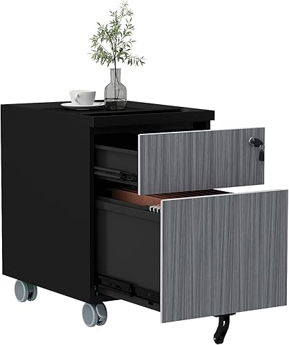 CuHome Archivador móvil de 2 cajones con cerradura y ruedas, totalmente montado, excepto ruedas, archivador vertical de metal para oficina en casa,