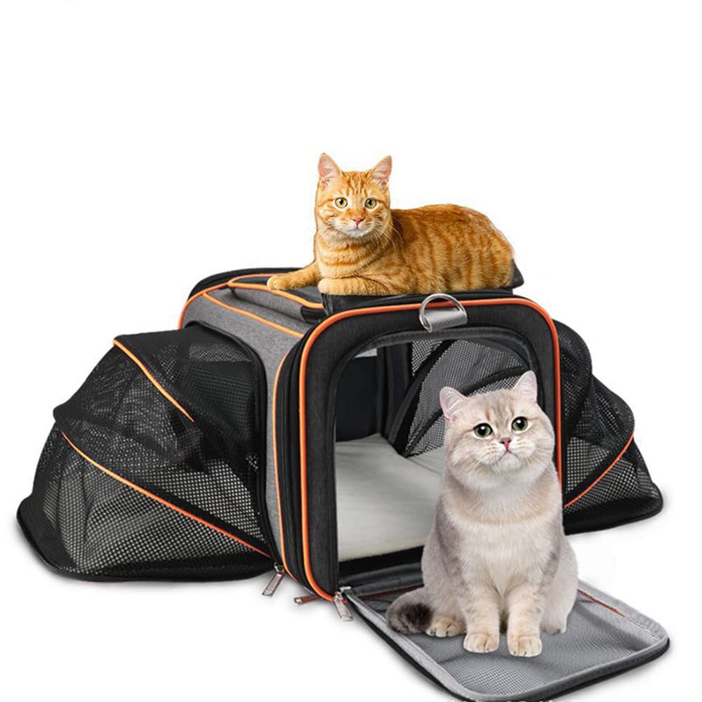 Transportbox Katze, Transporttasche Katze, kleine Hunde, Transportbox Hund, Katzentransportbox, katzentransportbox, Hundetransportbox im Auto oder in der Bahn Green