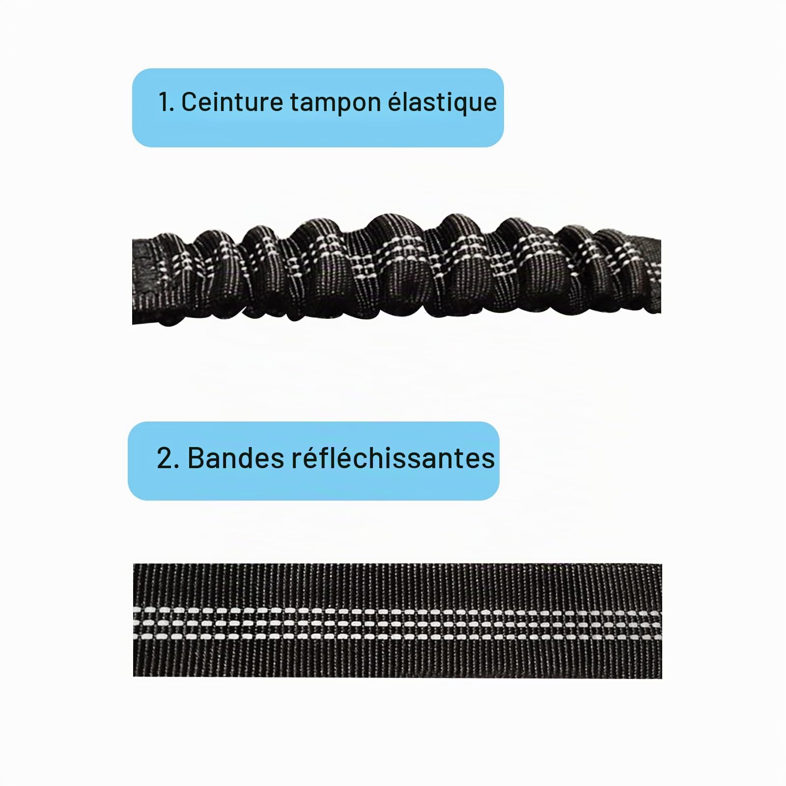 Ceinture Sécurité Chien Voiture - Ceinture Sécurité Chien, Petit Chien, Chien de Taille Moyenne (Noir)