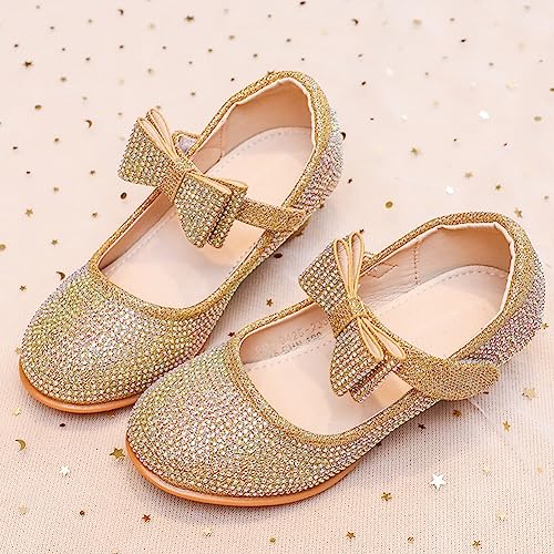 Girls Adorable Dress Shoes Sparkle Wedding Party Low Heel Mary Jane Princess Flower Pump Shoe for Toddler Little/Big Kid 6