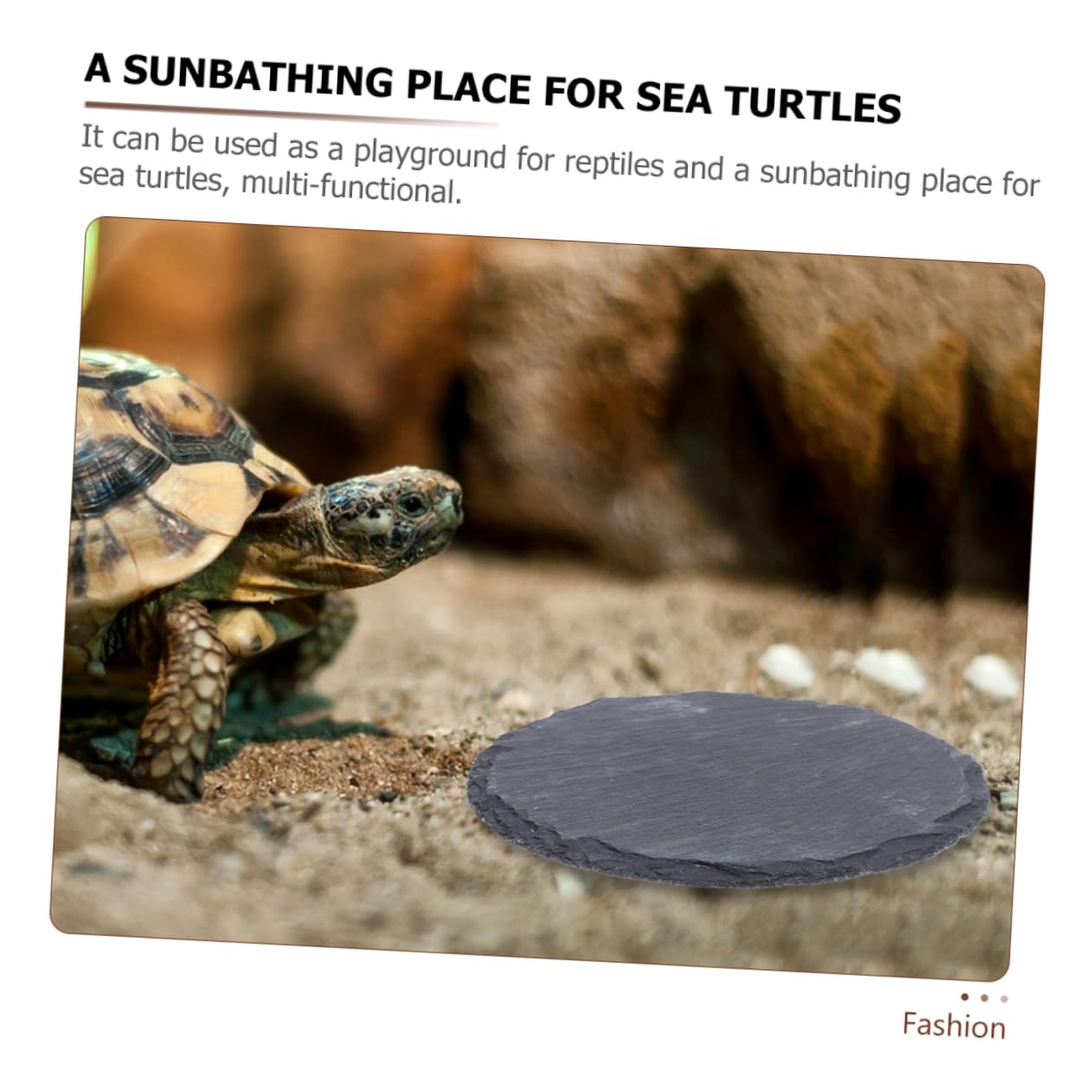 TOYANDONA 2 Stück Schildkröten Zubehör Sonnenplattform aus Schwarzem Felsen Multifunktionale Dekorative Schildkrötensteine für Aquarium und Reptilienbox