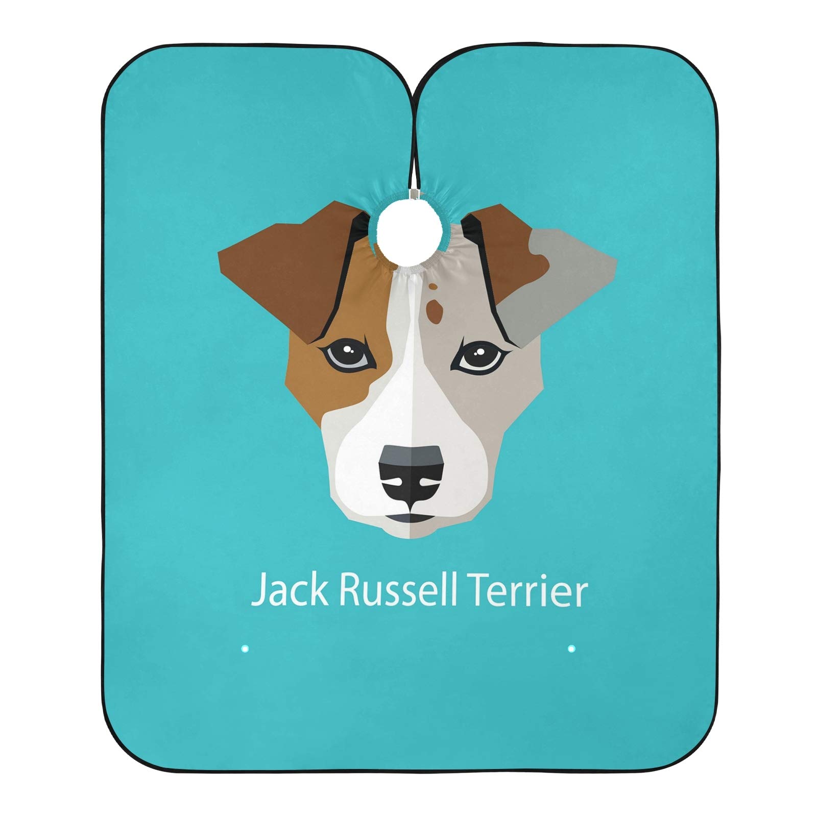 Do Jack Russells Need Haircuts