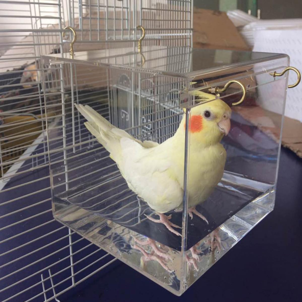 Veemoon Abgedecktes Vogelbad für Papageien und Kanarienvögel aus Kunststoff