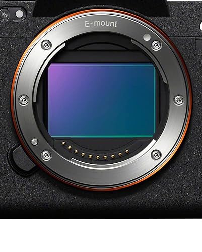Amazon.com : Sony Alpha 7R V Full-Frame Mirrorless Interchangeable
