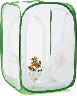Two Doors Large Monarch Butterfly Habitat, Insect Mesh Cage, Caterpillar Enclosure Terrarium Pop-up (24 x 24 x 36 inches)