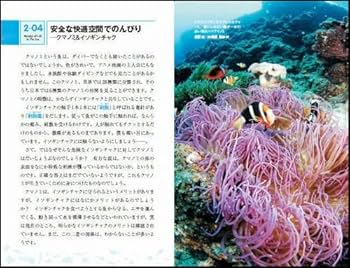 Amazon.co.jp: 海の生き物のふしぎ (サイエンス・アイ新書 122) : 原田 Amazon.co.jp: 海の生き物のふしぎ (サイエンス・アイ新書 122) : 原田