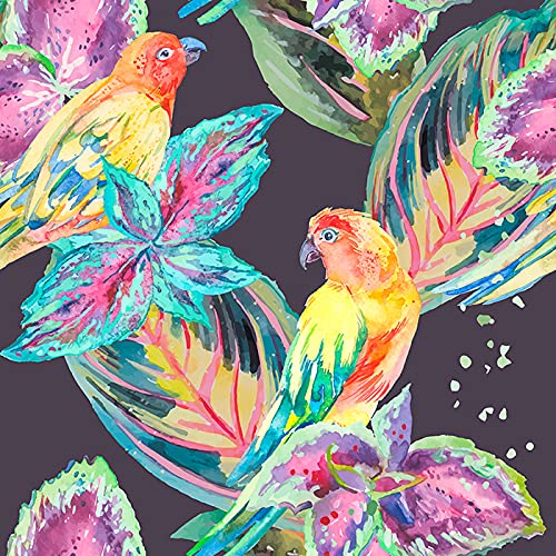 Papier peint oiseaux violet de qualité supérieure avec impression latex durable - 3