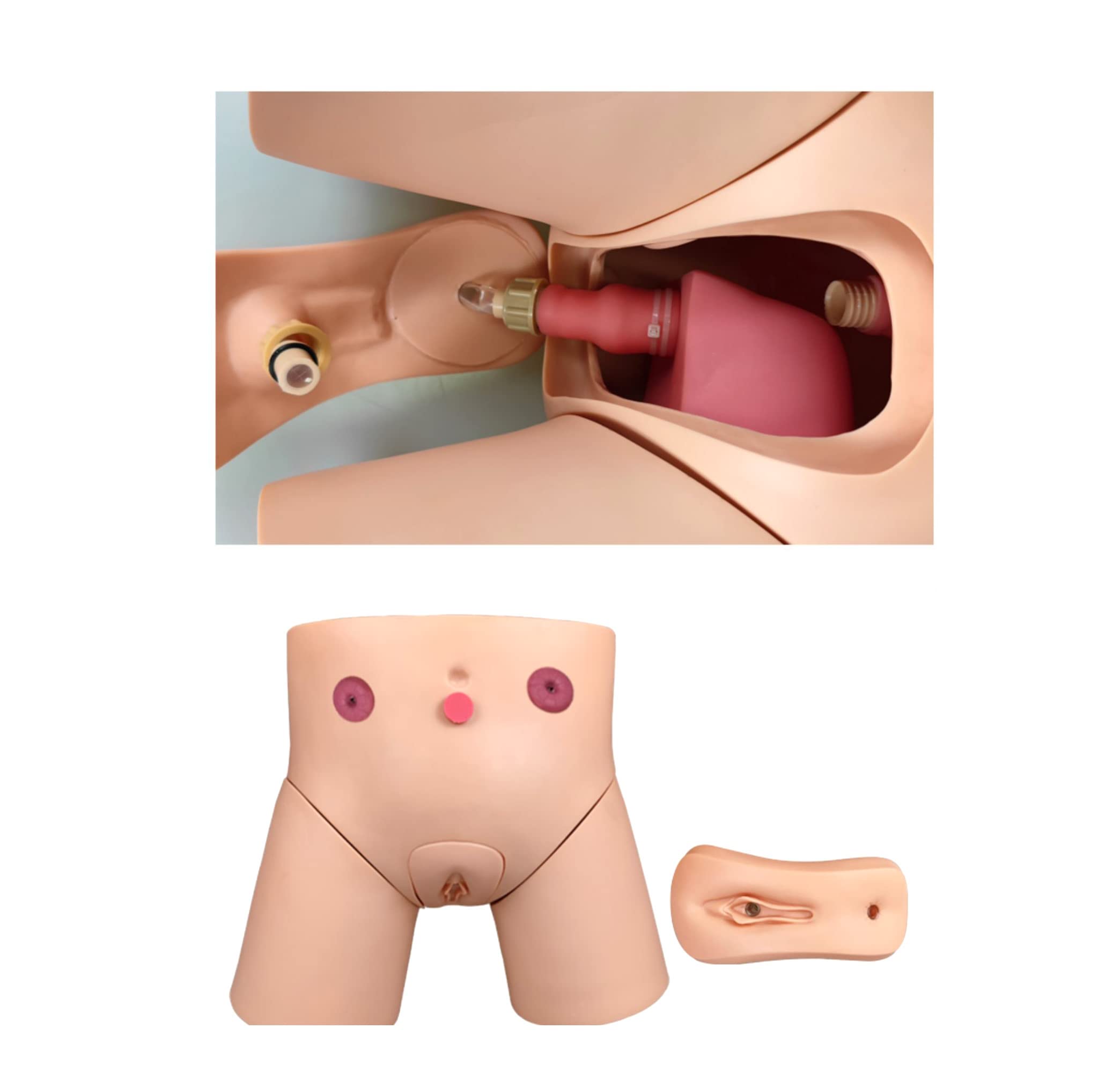 Model cewnikowania - męski i żeński wymienny manekin do praktyki pielęgniarskiej, model anatomiczny do treningu symulacji przebicia