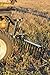 IMPACT IMPLEMENTS® Sleeve Hitch Adapter. Provides Easy One-Pin Mounting Attachment on Garden Tractors with Sleeve Hitch.