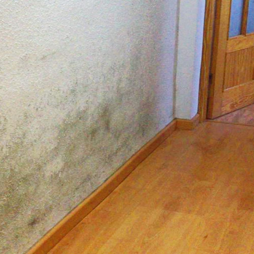 Pintura Aislante Térmica Anticondensación con Silicatos 4L Blanco | Transpirable, regula la humedad. Ayuda a prevenir el moho y mejora la temperatura de paredes y techos fríos.