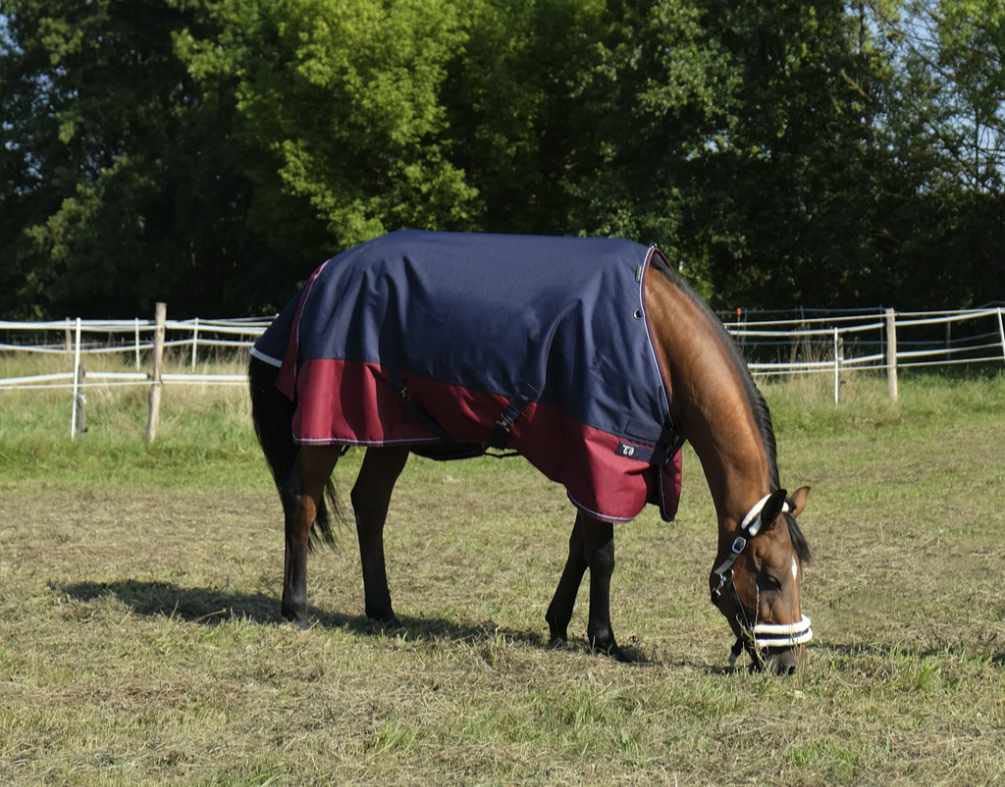 Metro Per Cavalli Amesbichler AMKA In Alluminio | Misuratore Altezza Cavalli E Pony Fino A 180 Cm | Con Livella A Bolla - Foto 2