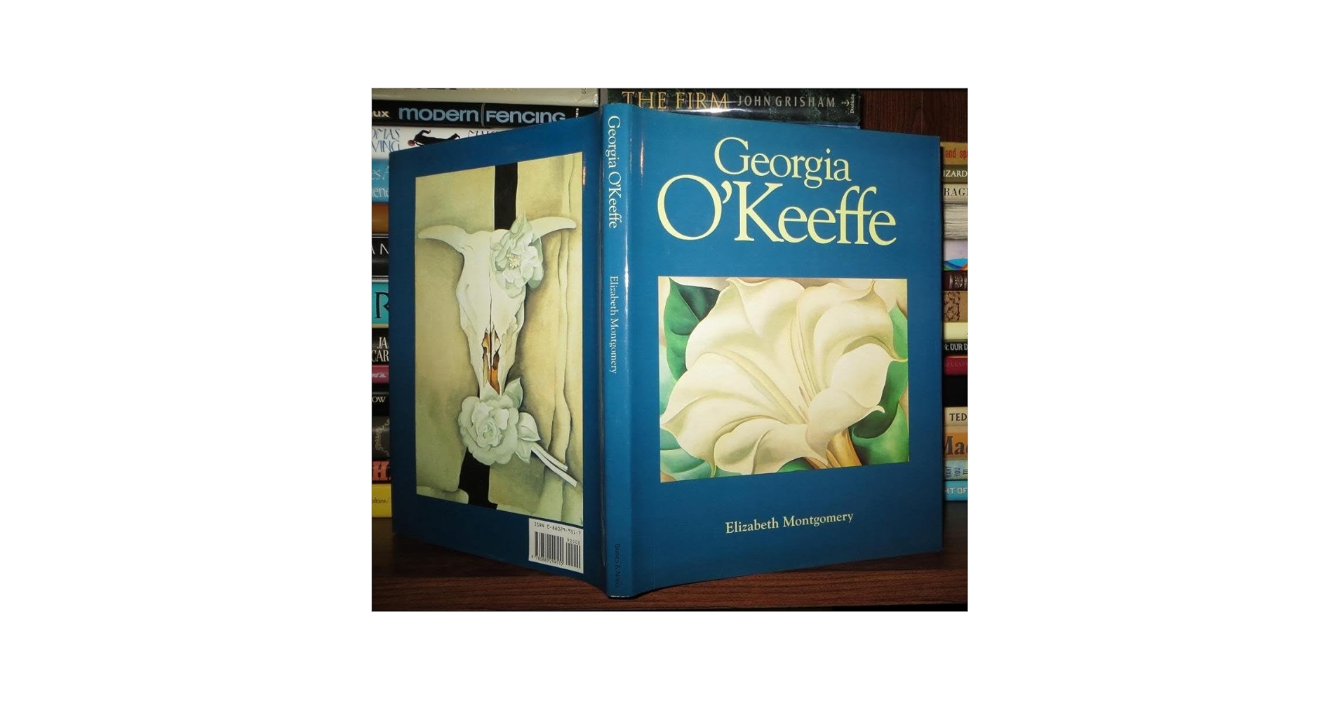 洋書 ia O'Keeffe O'Keeffe (Basic Art Series 2.0): Benke, Britta
